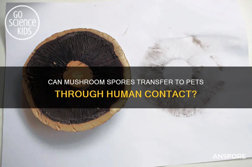 can taking mushrooms pass to animals if you touch them