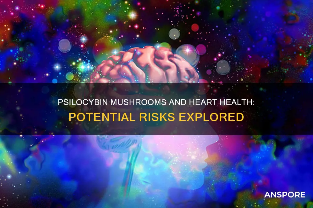 can taking psilocybin mushrooms cause heart conditions