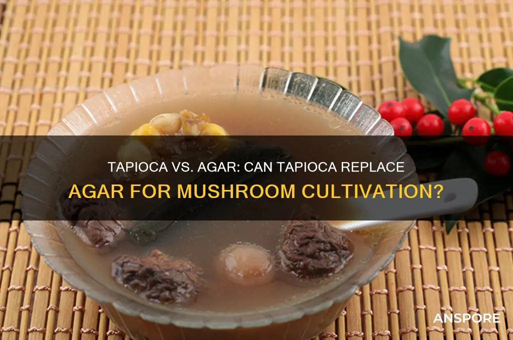 can tapioca replace agar for mushrooms
