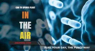 Can TB Spores Float in the Air? Understanding Tuberculosis Transmission