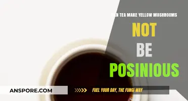 Can Tea Neutralize Yellow Mushroom Toxicity? Exploring the Myth