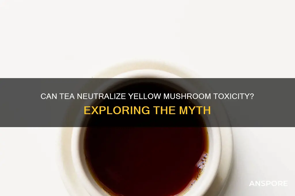 can tea make yellow mushrooms not be posinious