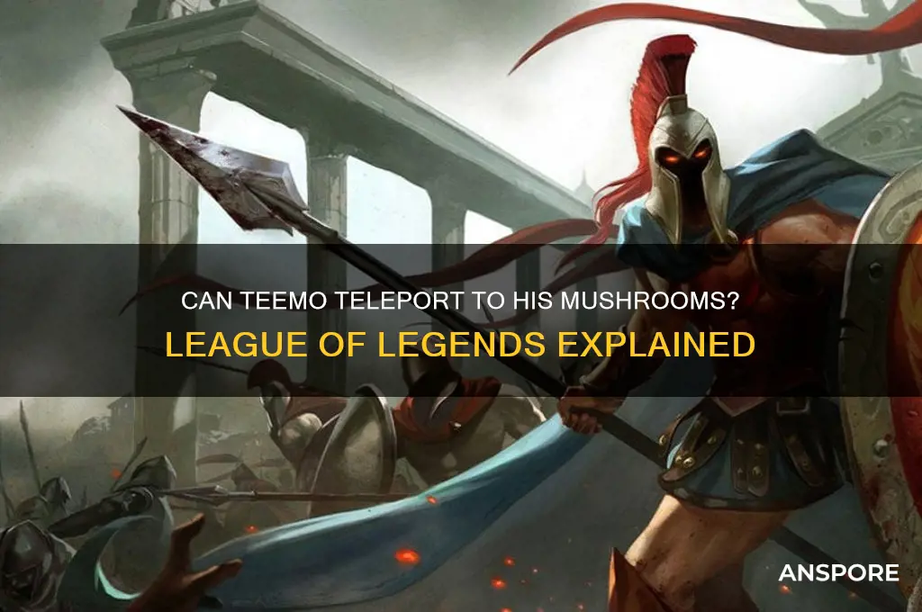 can teemo teleport to his mushrooms