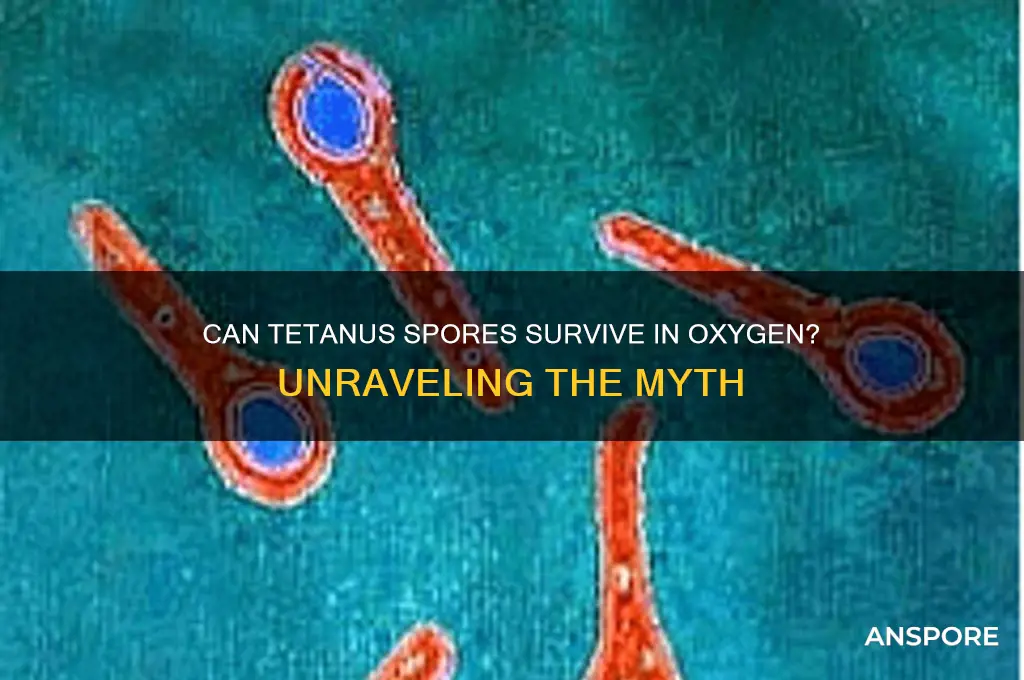 can tetanus spores surive in oxygen