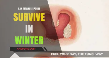 Winter's Chill: Can Tetanus Spores Survive the Cold Season?