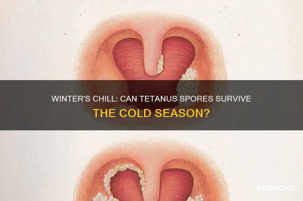 can tetanus spores survive in winter