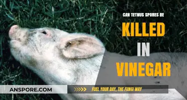 Can Vinegar Kill Tetanus Spores? Debunking Myths and Facts