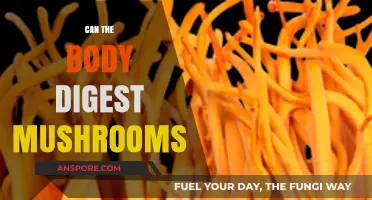 Can Your Body Digest Mushrooms? Exploring Fungal Digestion and Health