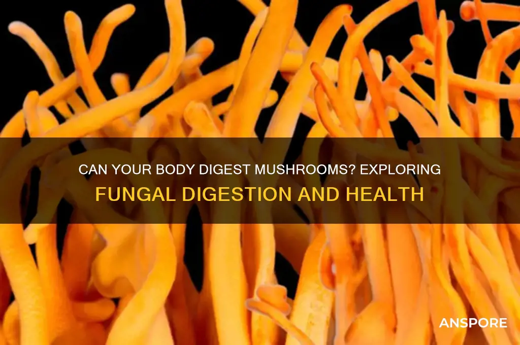 can the body digest mushrooms