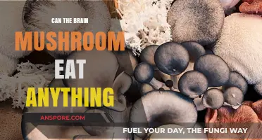 Can Brain Mushrooms Eat Anything? Unveiling Their Surprising Dietary Habits