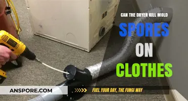 Can Dryers Effectively Eliminate Mold Spores from Your Clothes?