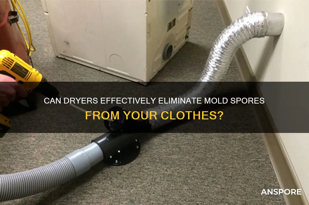 can the dryer kill mold spores on clothes
