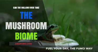 Hollow vs. Mushroom Biome: Can the Hollow Overtake Its Fungal Foe?