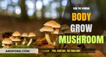 Can Mushrooms Grow on Humans? Exploring the Science and Myths