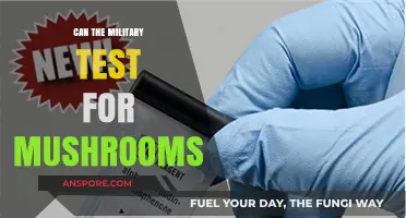 Military Drug Testing: Can Psilocybin Mushrooms Be Detected?