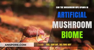 Can Mushroom NPCs Spawn in Artificial Mushroom Biomes?