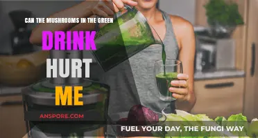 Mushrooms in Green Drinks: Are They Safe or Harmful?