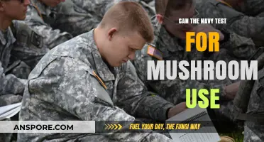Navy Drug Testing: Can Mushroom Use Be Detected in Sailors?