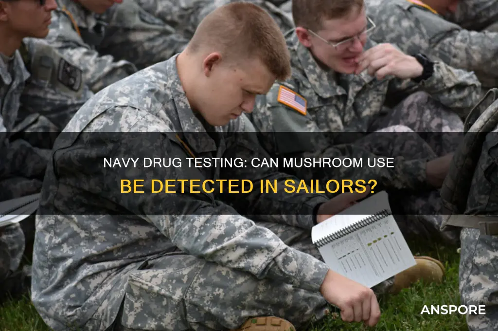 can the navy test for mushroom use