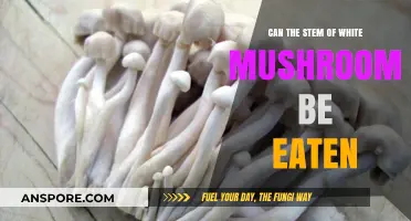 Can You Eat White Mushroom Stems? A Complete Guide