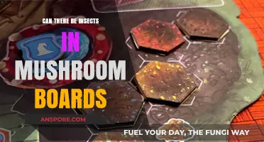 Insects in Mushroom Boards: Unseen Risks or Natural Occurrence?