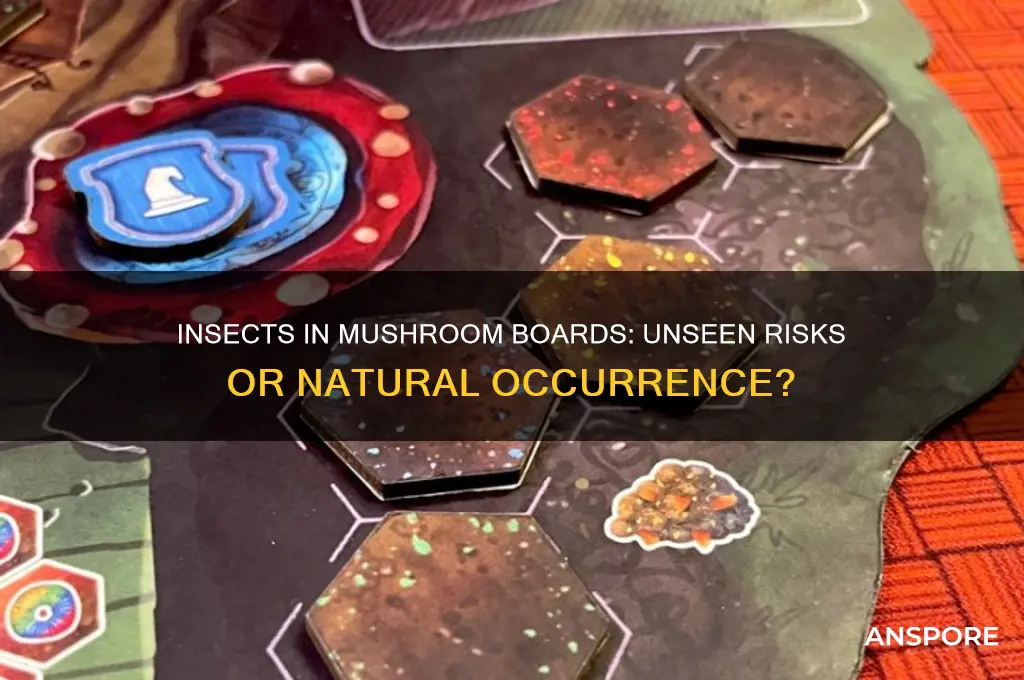 can there be insects in mushroom boards
