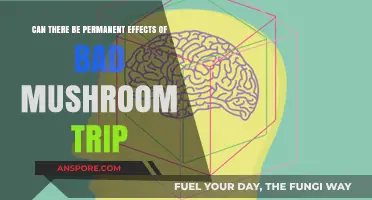 Bad Mushroom Trips: Can They Cause Lasting Psychological Effects?