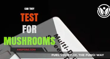 Can They Test for Mushrooms? Drug Tests and Psilocybin Detection