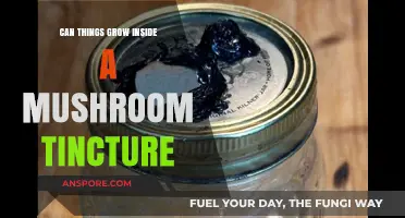 Can Contaminants Thrive in Mushroom Tinctures? Unveiling the Risks