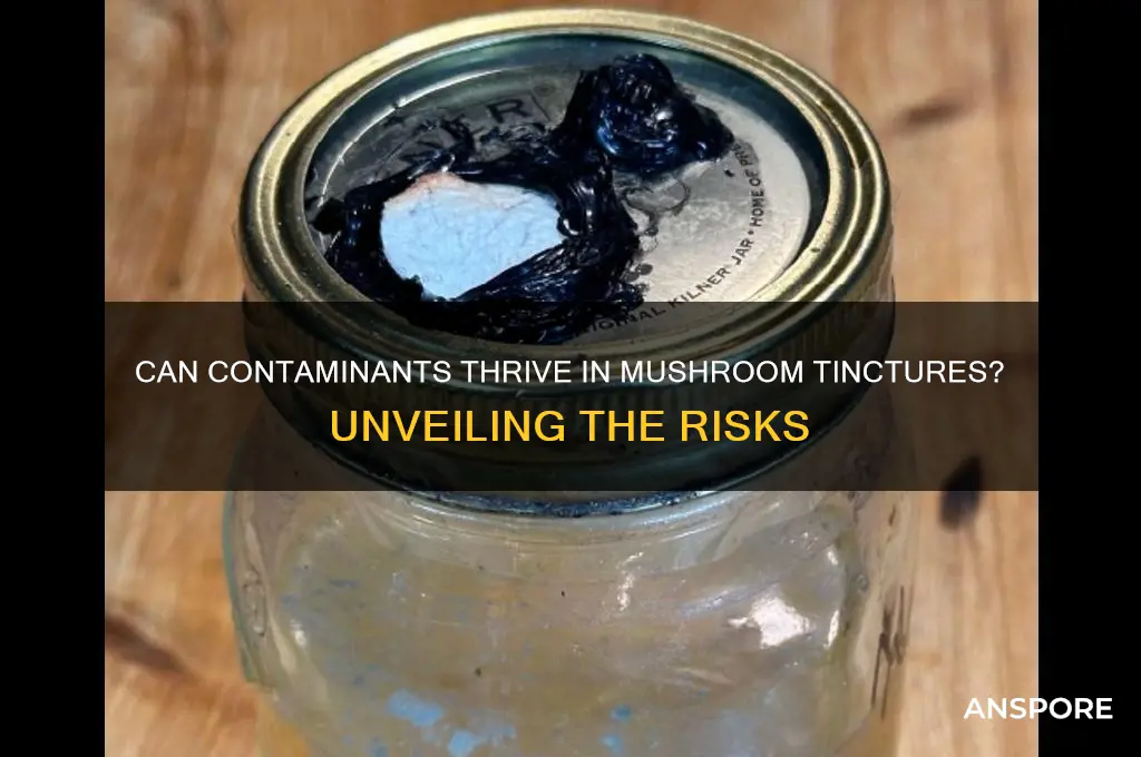 can things grow inside a mushroom tincture