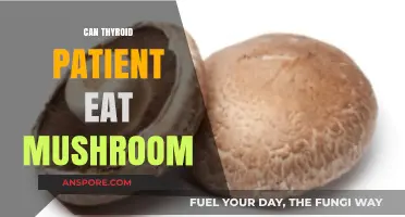 Mushrooms and Thyroid Health: Safe or Risky for Patients?