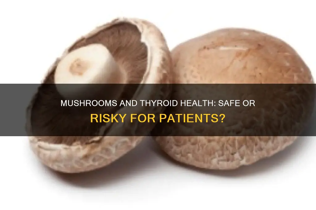 can thyroid patient eat mushroom