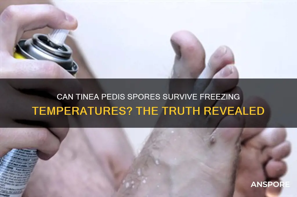 can tinea pedis spores survive freezing
