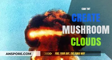 Exploding the Myth: Can TNT Really Create Mushroom Clouds?