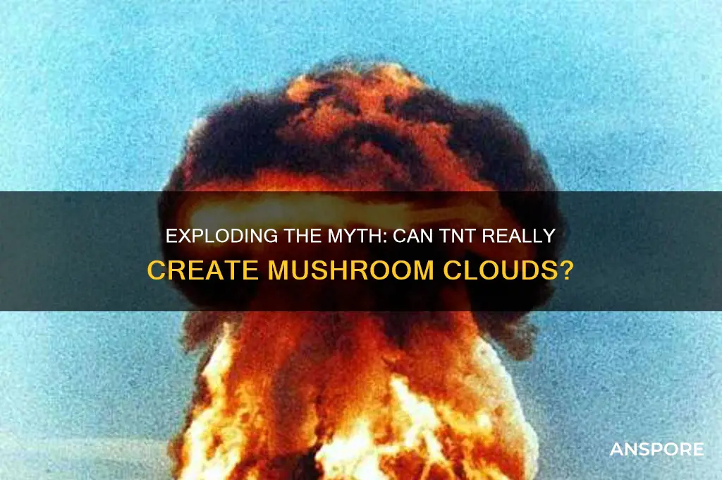 can tnt create mushroom clouds