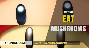 Can Toads Safely Eat Mushrooms? Exploring Toad Diets and Risks