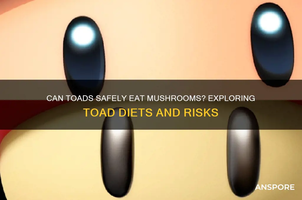 can toads eat mushrooms