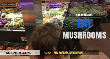 Can Toddlers Safely Eat Mushrooms? A Parent's Guide to Nutrition