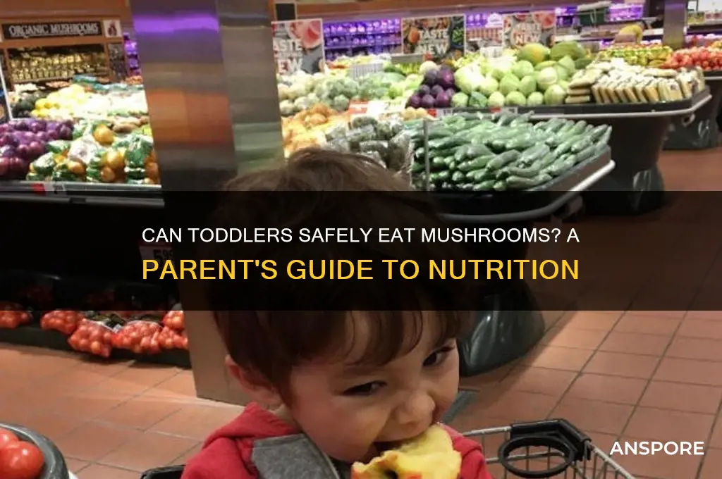 can toddleers eat mushrooms