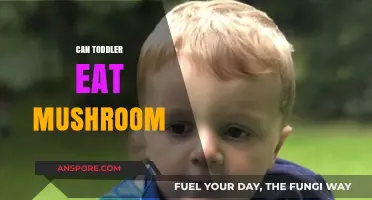 Can Toddlers Safely Eat Mushrooms? A Parent's Guide to Nutrition