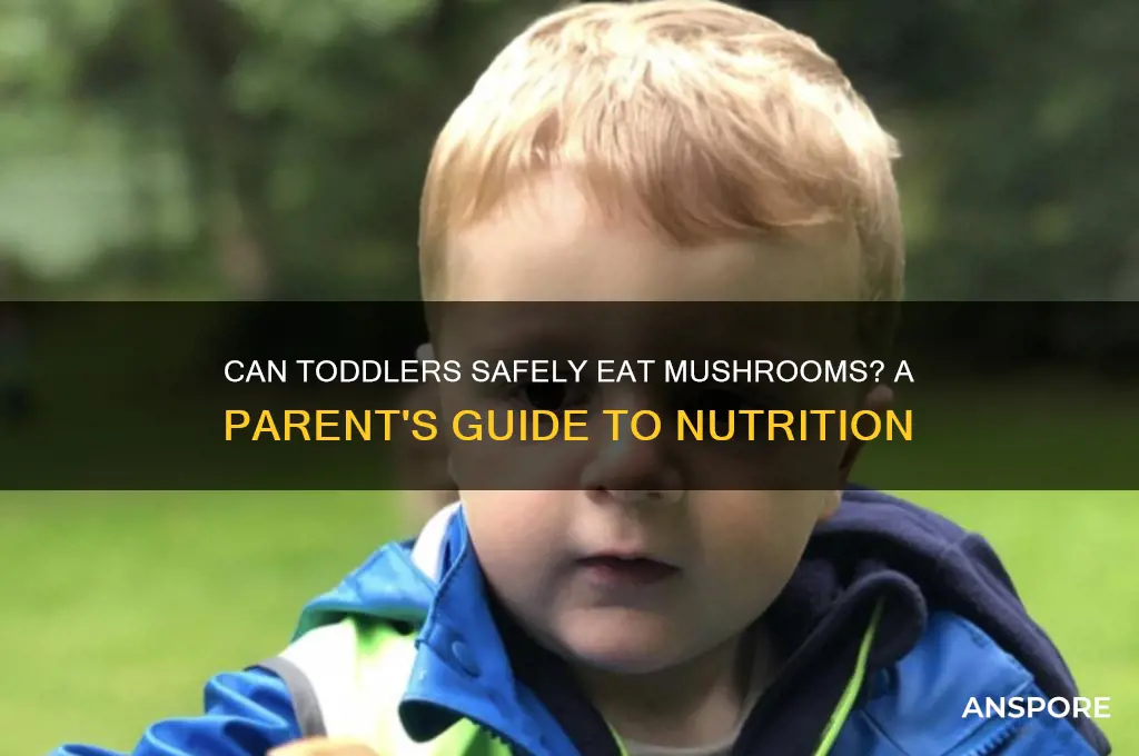can toddler eat mushroom