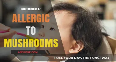 Can Toddlers Develop Mushroom Allergies? Symptoms and Safety Tips