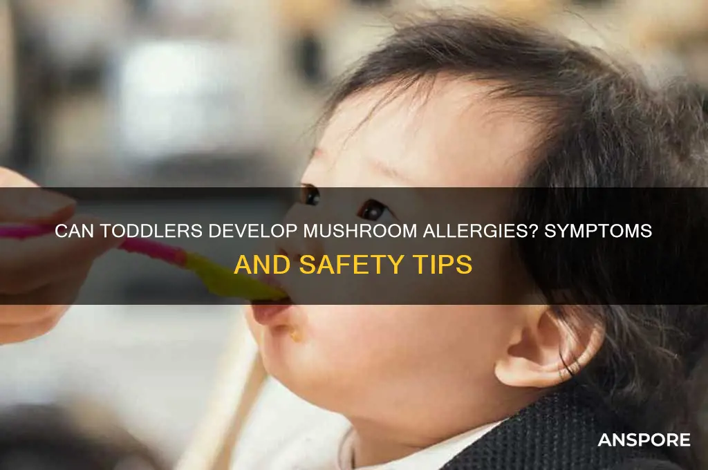 can toddlers be allergic to mushrooms
