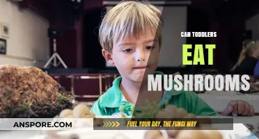 Can Toddlers Eat Mushrooms? Nutrition, Safety, and Serving Tips