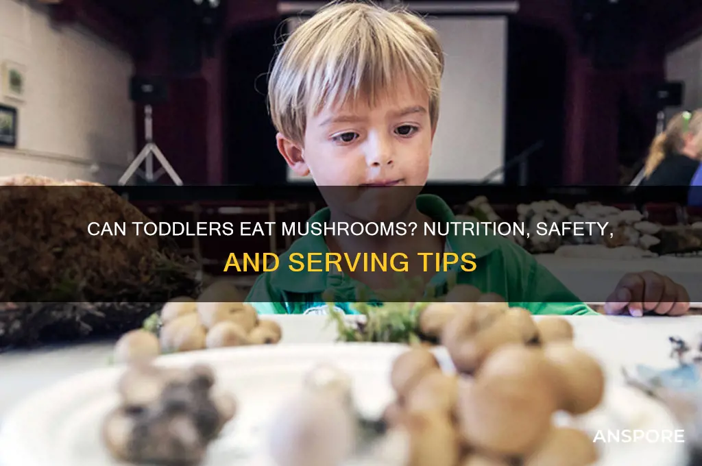 can toddlers eat mushrooms
