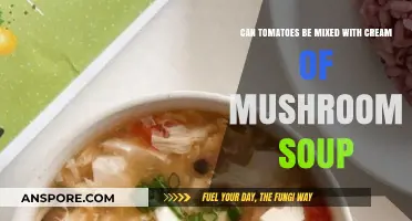 Tomatoes and Cream of Mushroom Soup: A Flavorful Culinary Match?