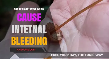 Excessive Mushroom Consumption: Potential Risks of Internal Bleeding Explained