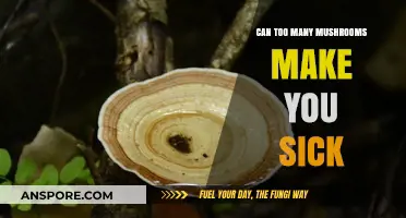 Mushroom Overload: Can Excessive Consumption Lead to Health Issues?