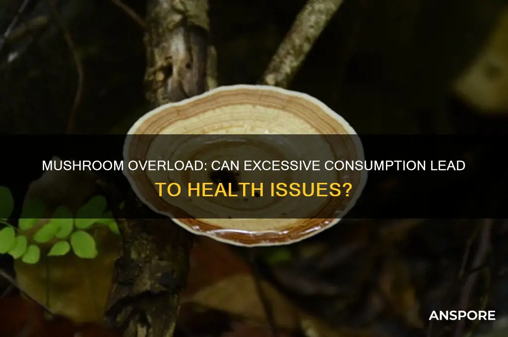 can too many mushrooms make you sick