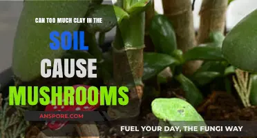 Excess Clay in Soil: Unveiling Its Link to Mushroom Growth